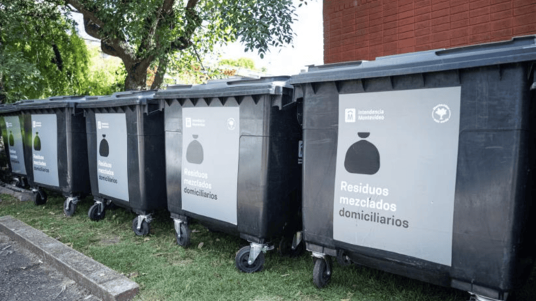 Entrega de contenedores en Carrasco Sur: días y horarios de recolección