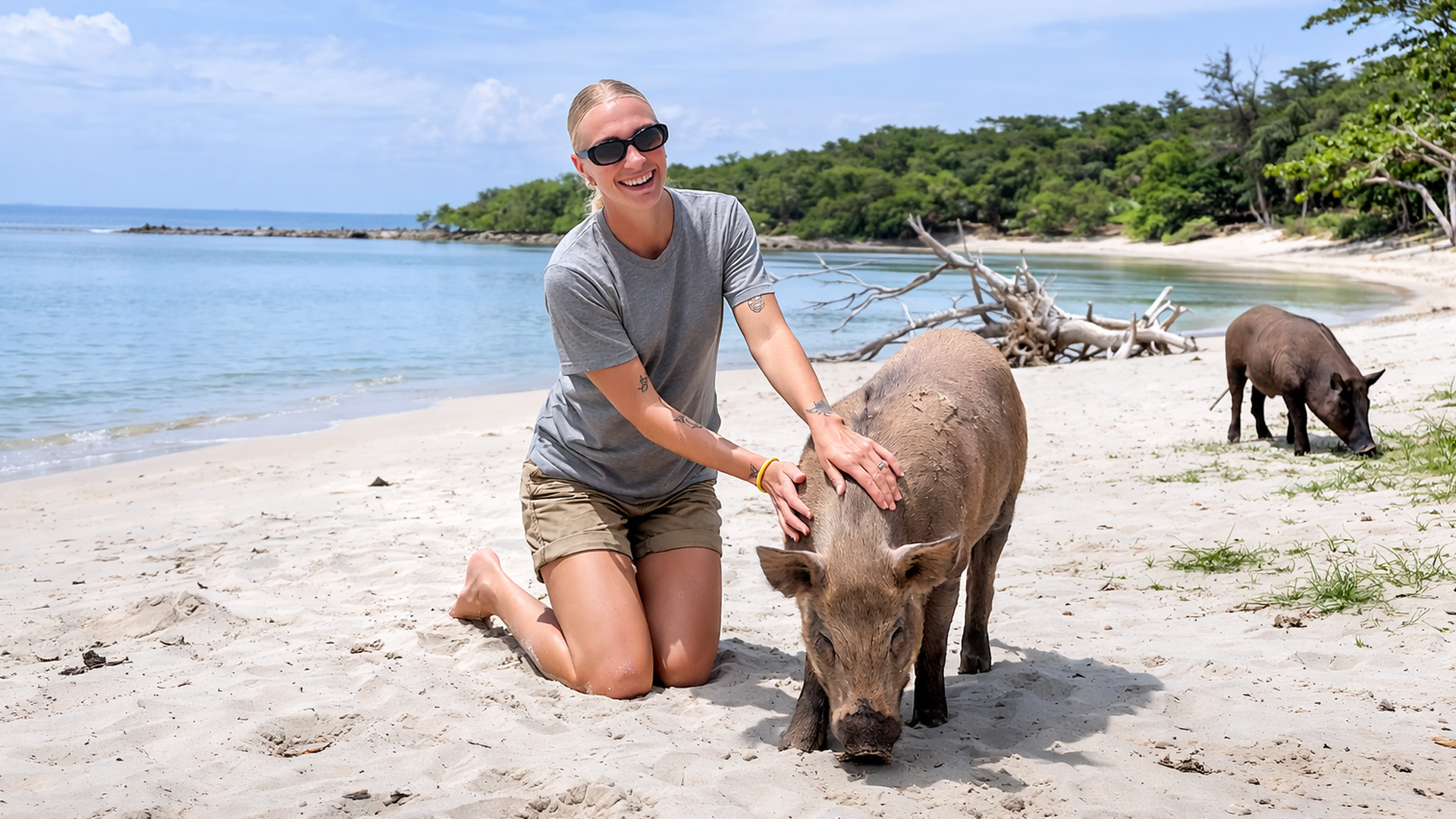 Discovering a remote island filled with pigs
