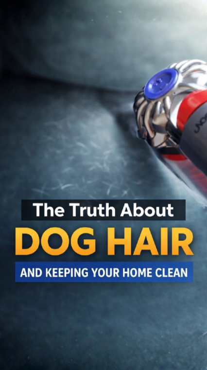 The truth about dog hair and keeping your home clean