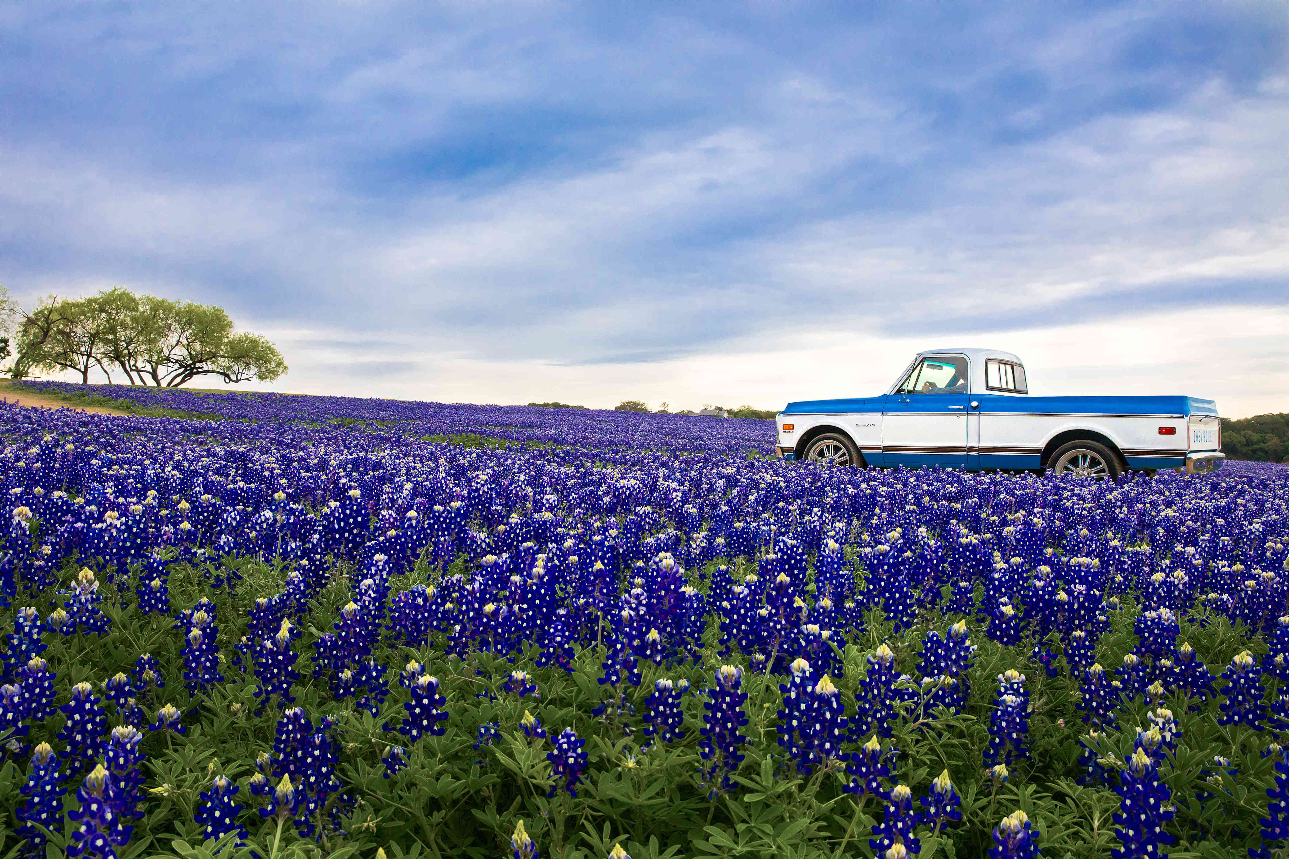 I’m a travel writer in Texas, and this is the 1 place I’d recommend ...