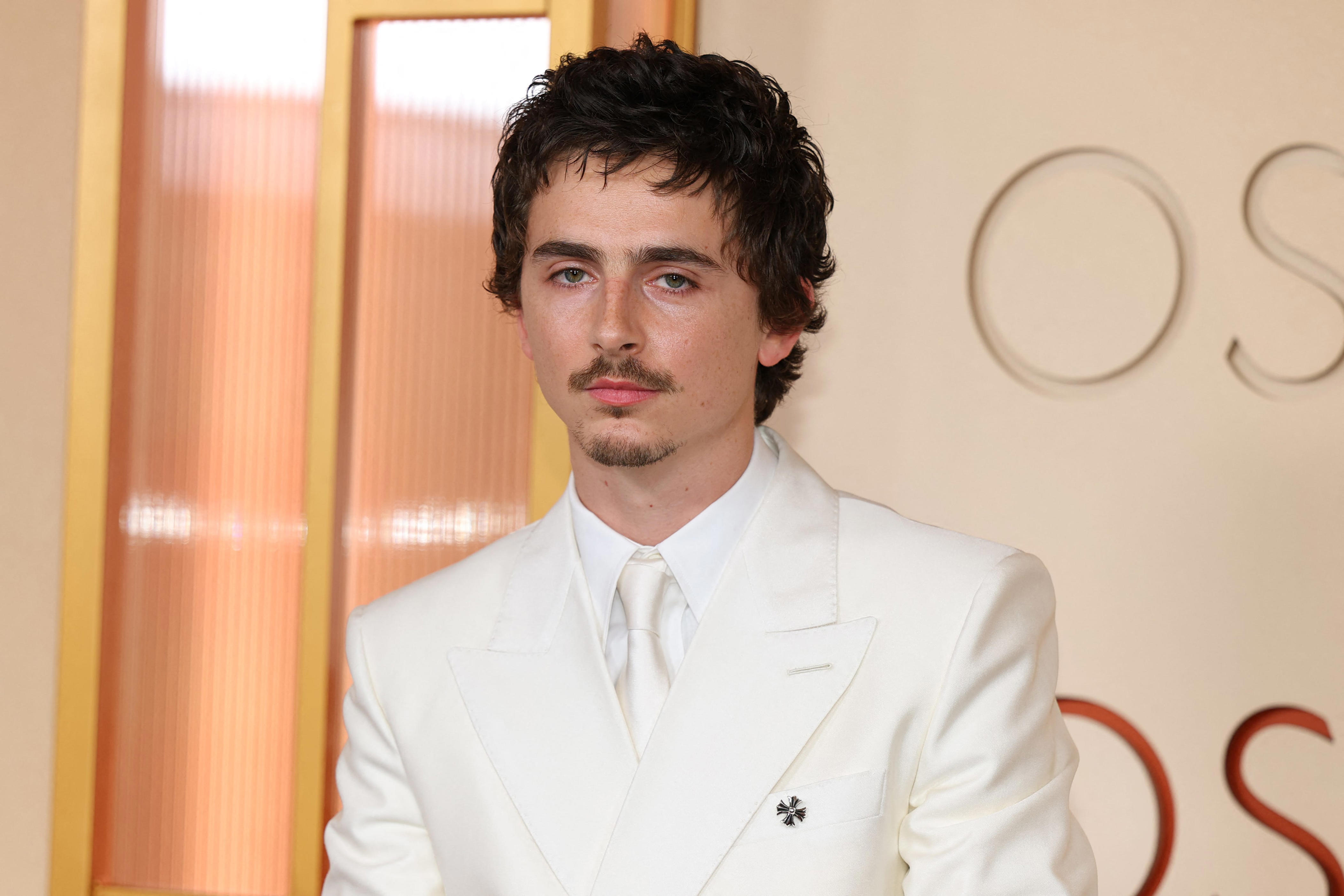 Timothée Chalamet keeps it cool on the Oscars red carpet. See photos<br><br>