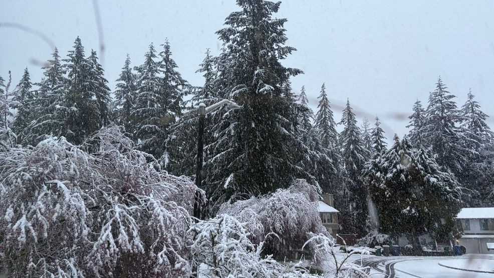 Low snowpack concerns linger after March storm, lack of snow likely to ...