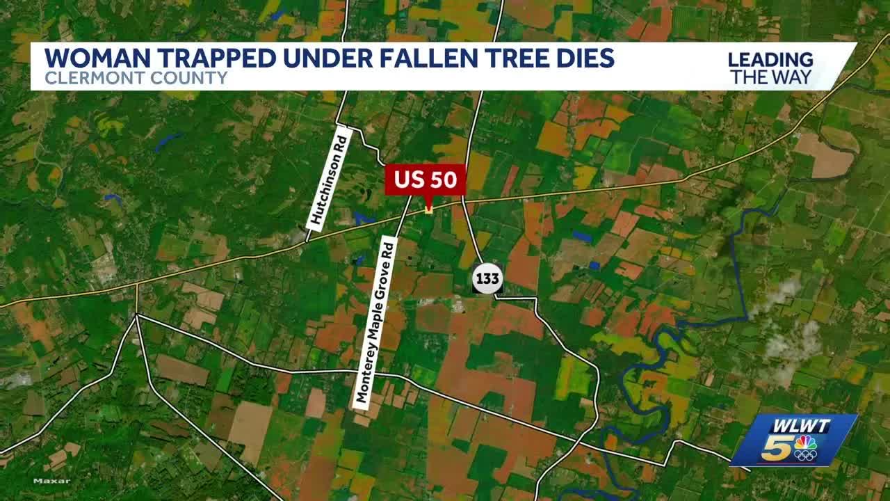 Police: Woman killed after tree falls onto home in Clermont County