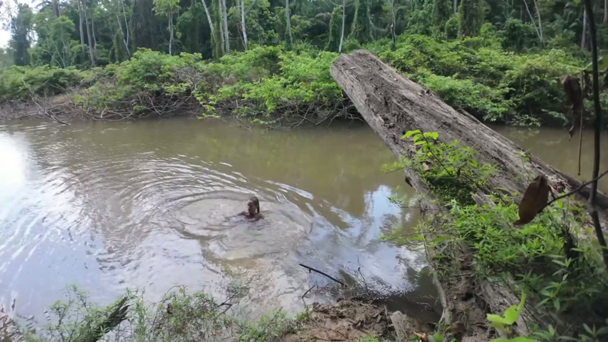 I survived 3 days alone in the Amazon jungle