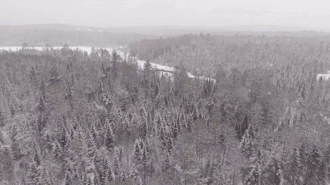 Drone footage captures fresh snow coating Vermont town
