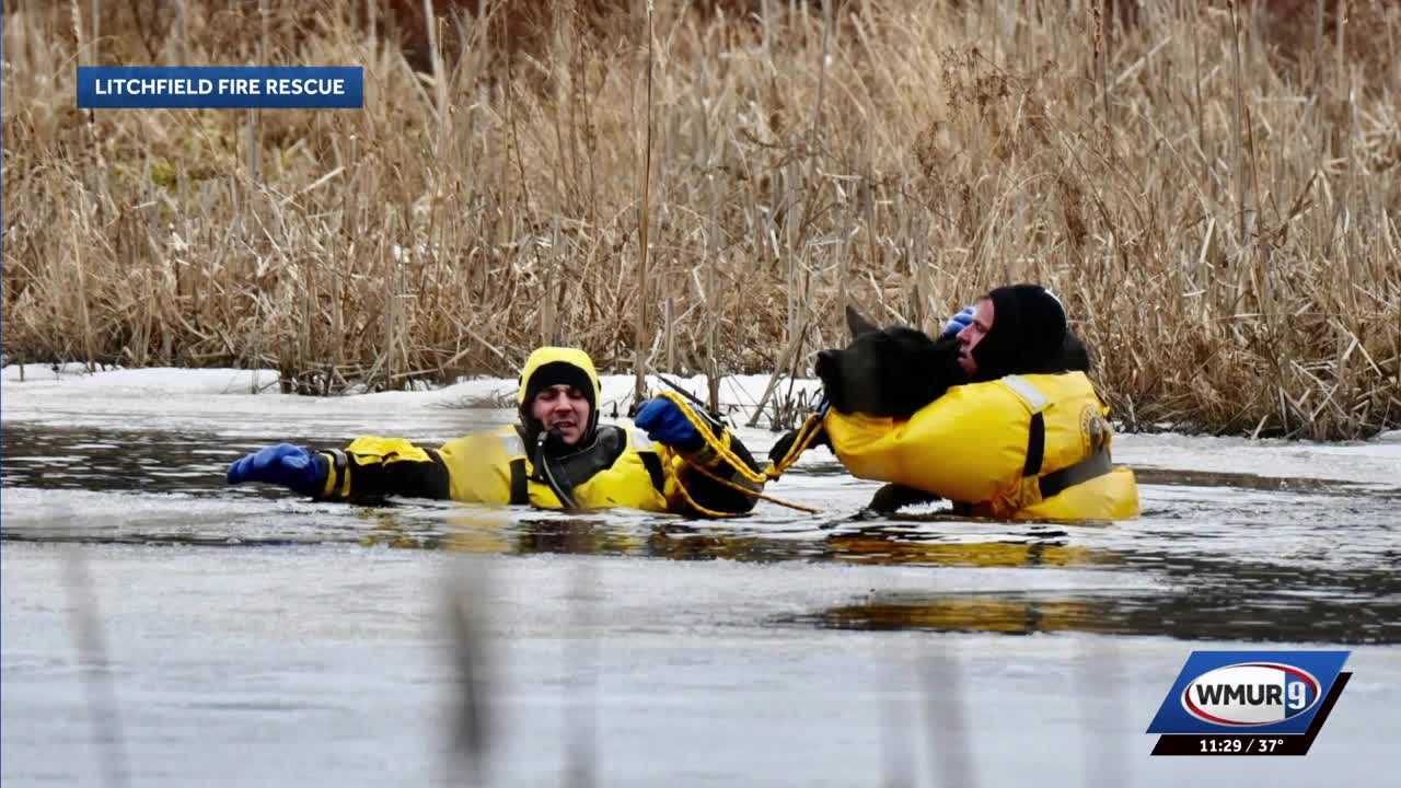 Litchfield Fire Rescue warns of hazardous ice conditions after dog rescue