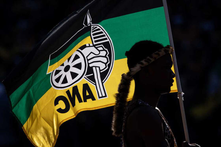 Video of ANC members' meagre food donation mocked in AI TikTok post