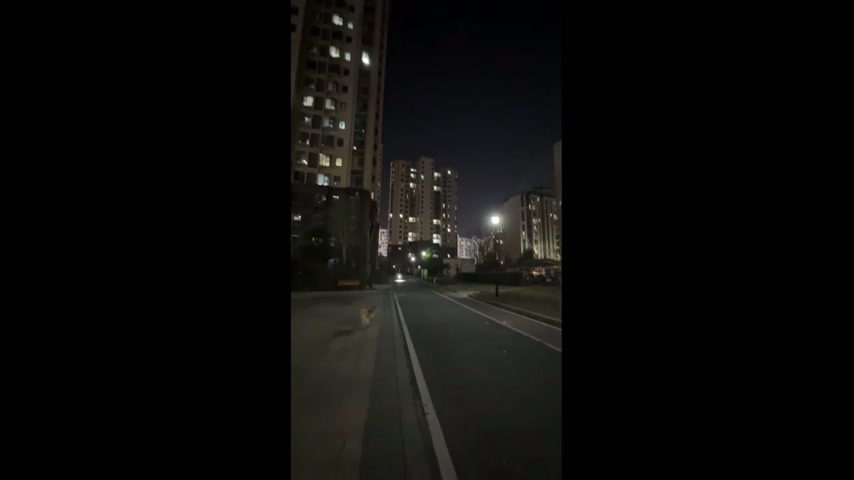 Man rides electric unicycle while carrying friend in Jiangxi, China