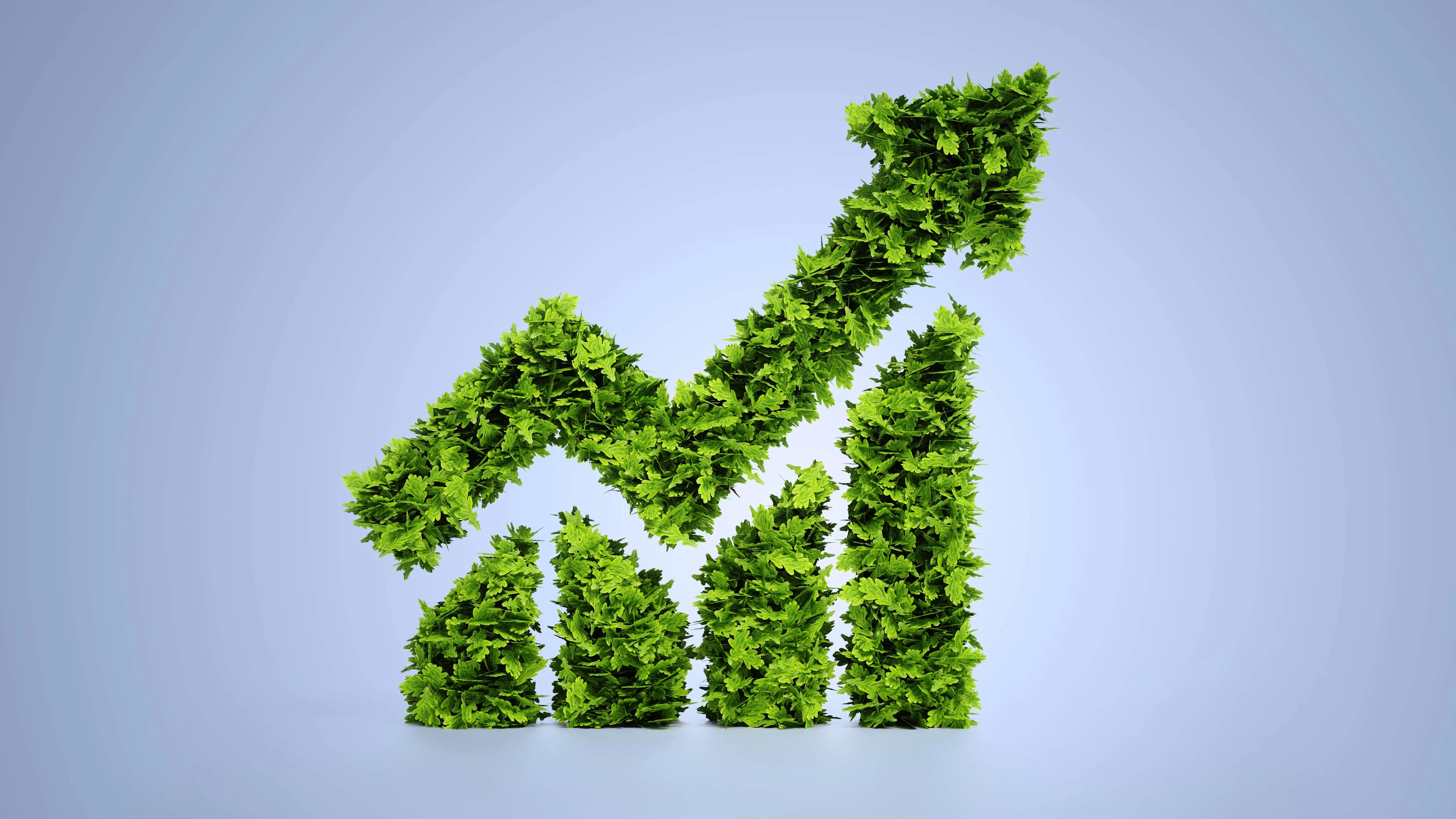 What is portfolio management? How it works and why it matters