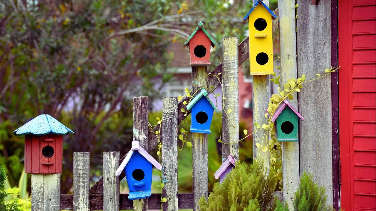 Curated visual reference: Picture Idea: 10 Bird Themed Home Decor Ideas That Are Magically Beautiful