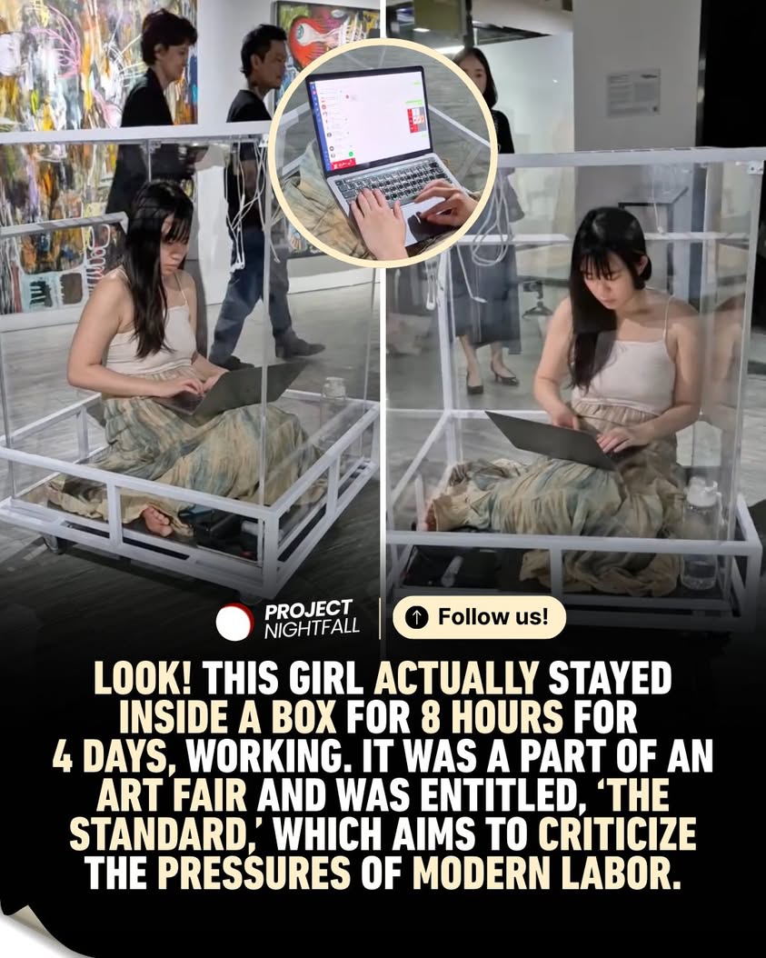 Glass box nightmare: Artist's 8-hour ordeal exposes modern work's ...