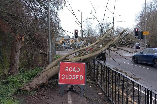 Fallen tree causes Wycombe A-road road lane closure and blocked pavement