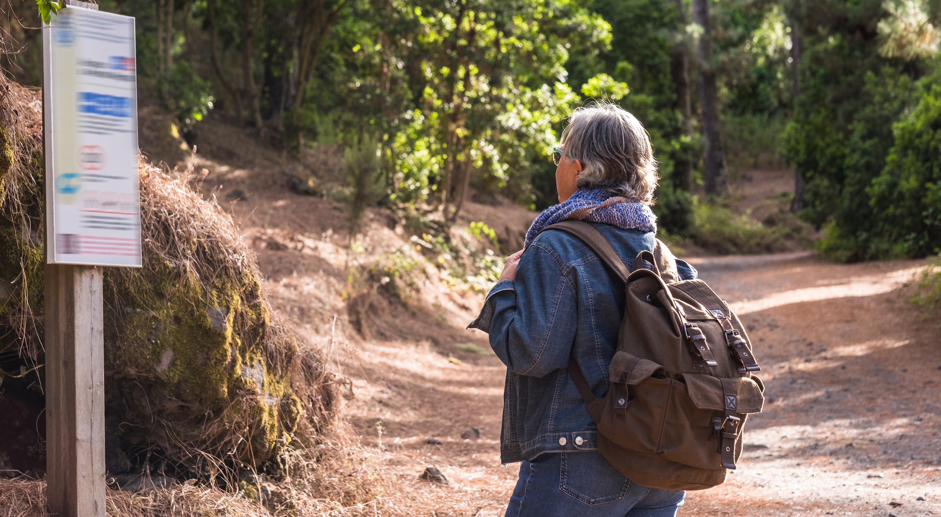 5 signs you should delay retirement