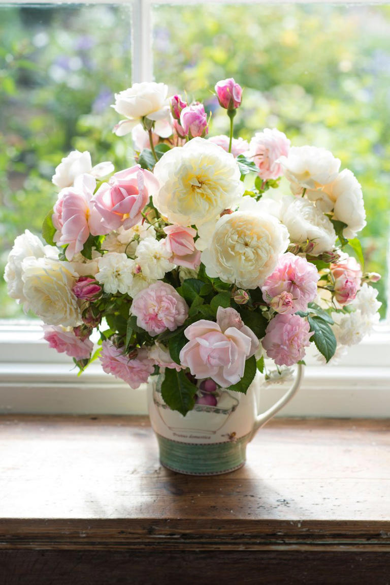 English roses in the house & garden