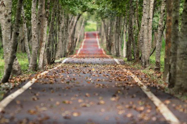 A taste for adventure: Weekly rituals that keep life exciting