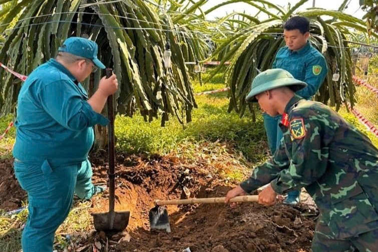 Người dân đào trúng đạn pháo 105mm khi làm vườn