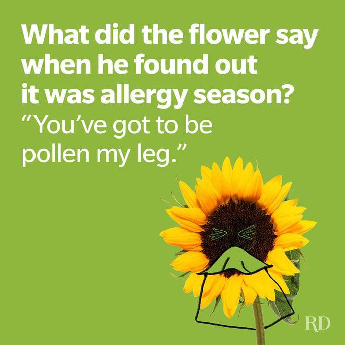 85 spring jokes that will get the laughs blooming