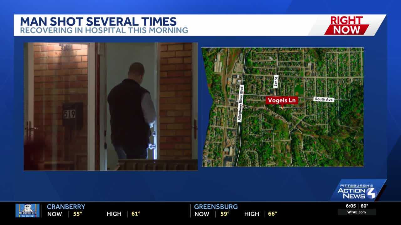 Man shot multiple times inside his Verona home in 'targeted incident'