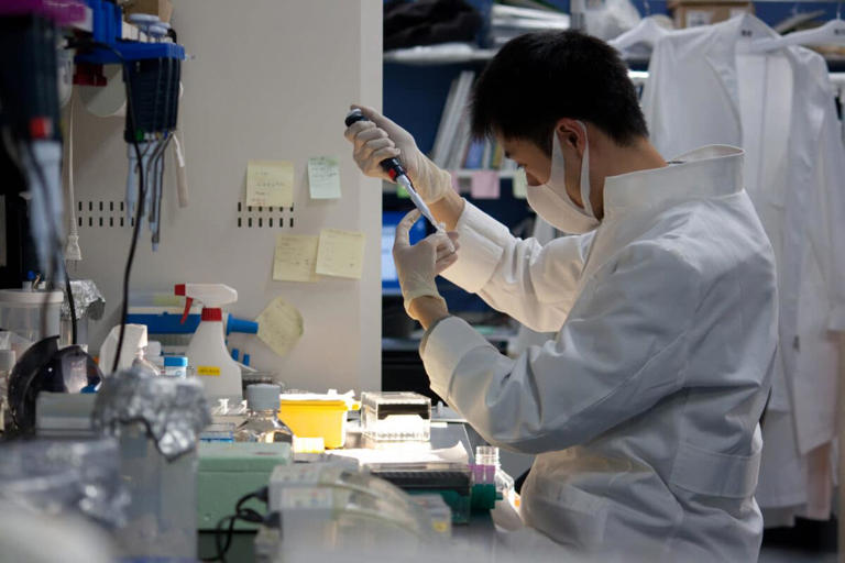Japan approves the world’s first treatments made with reprogrammed ...