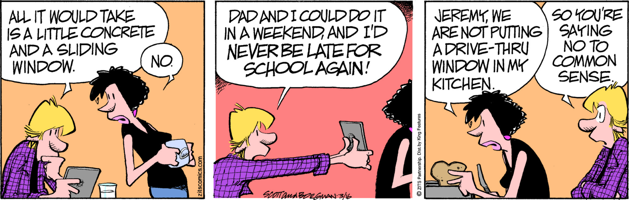 Zits by Jerry Scott and Jim Borgman