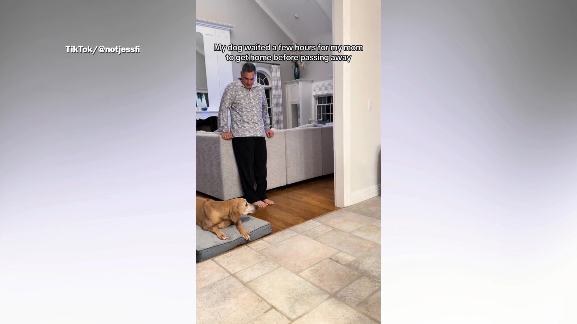 Dog waits for owner to come home before her final goodbye<br><br>