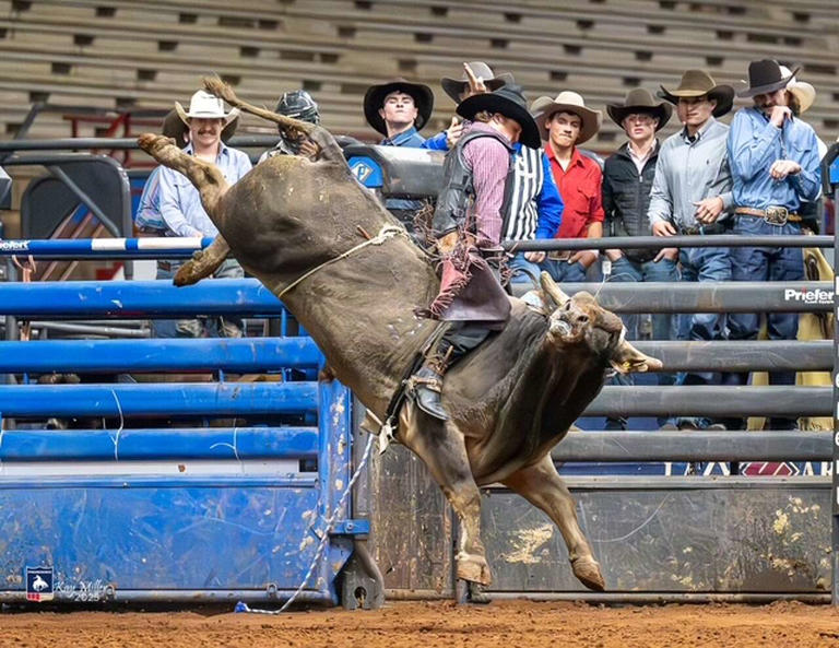 A bull's horn tore his heart at Rodeo Austin. A year later, he's back ...