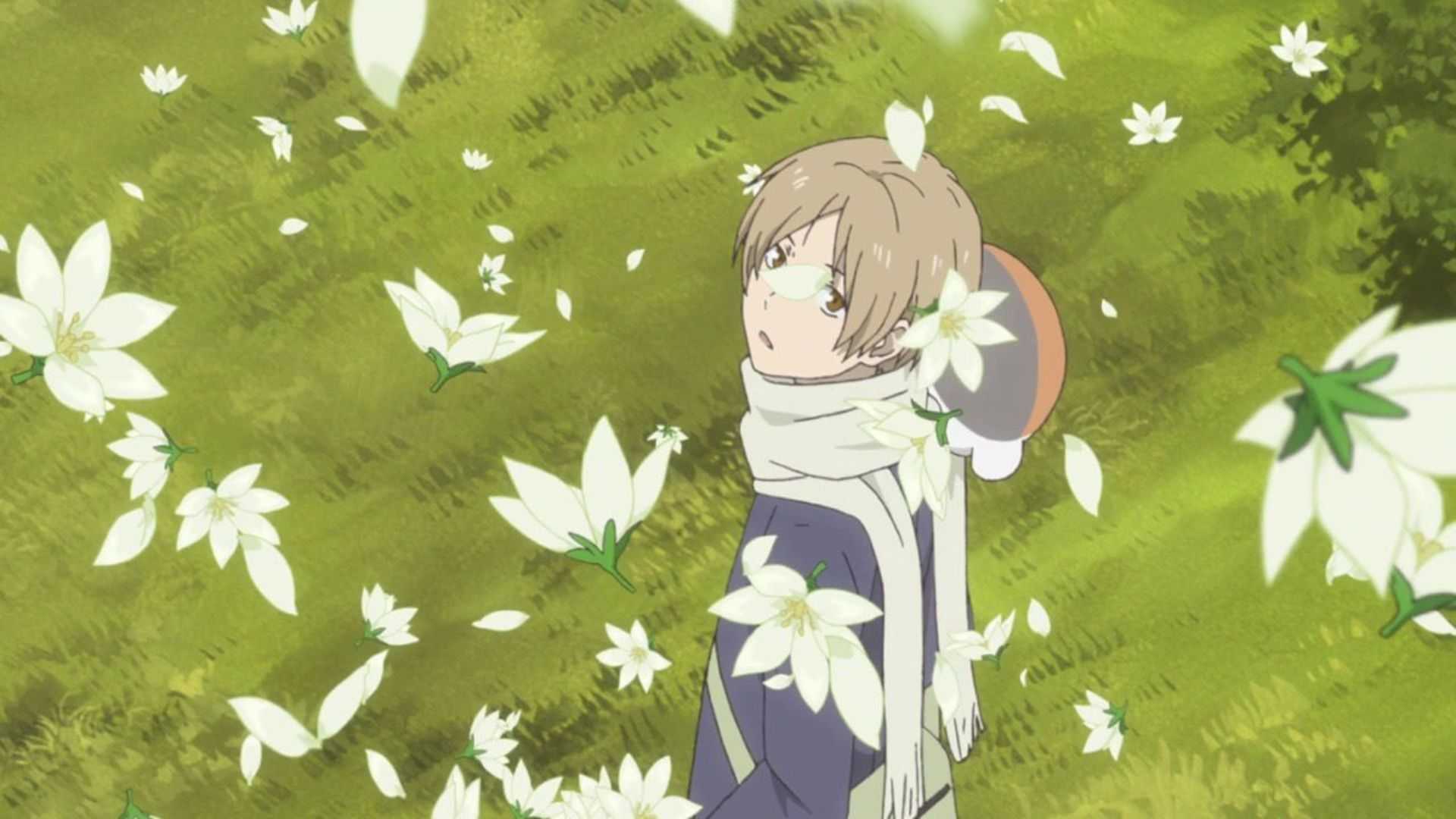 Natsume looks at the sky while roaming in a meadow as flowers fall in Natsume's Book of Friends