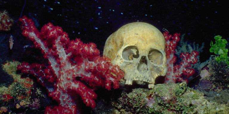 A diver found 8,000-year-old human remains deep inside an underwater cave