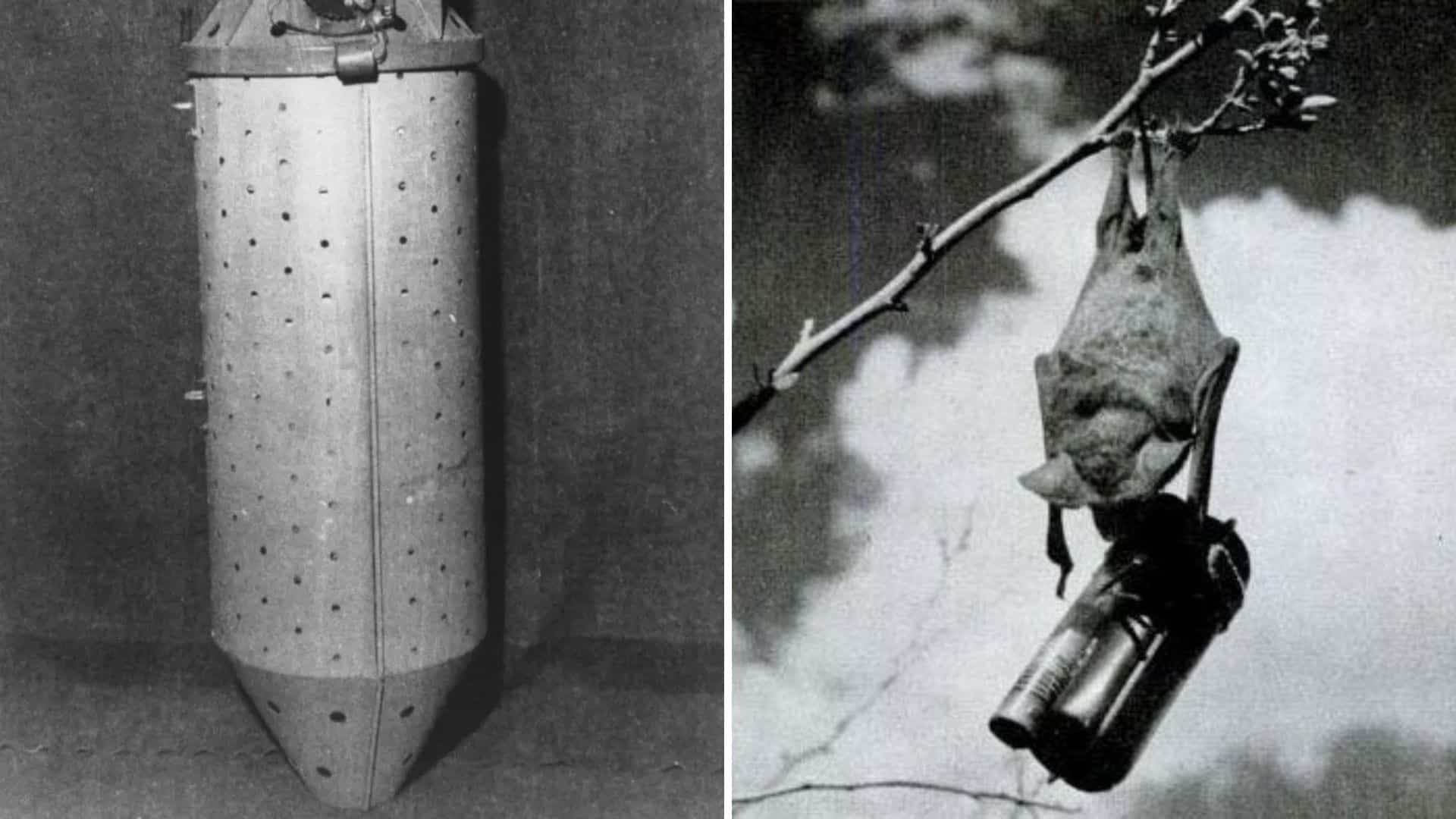 Experimental weapons that never left testing grounds