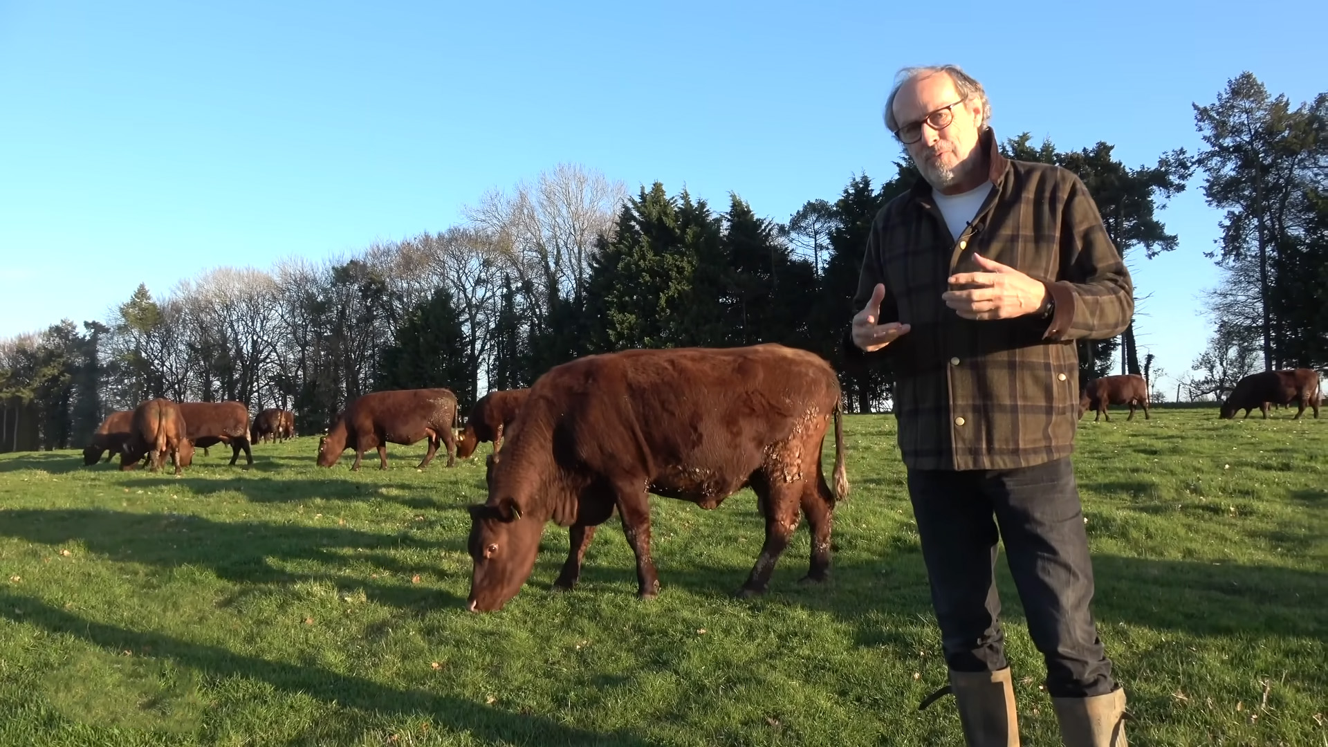 Spring farming update cattle grazing and crop challenges