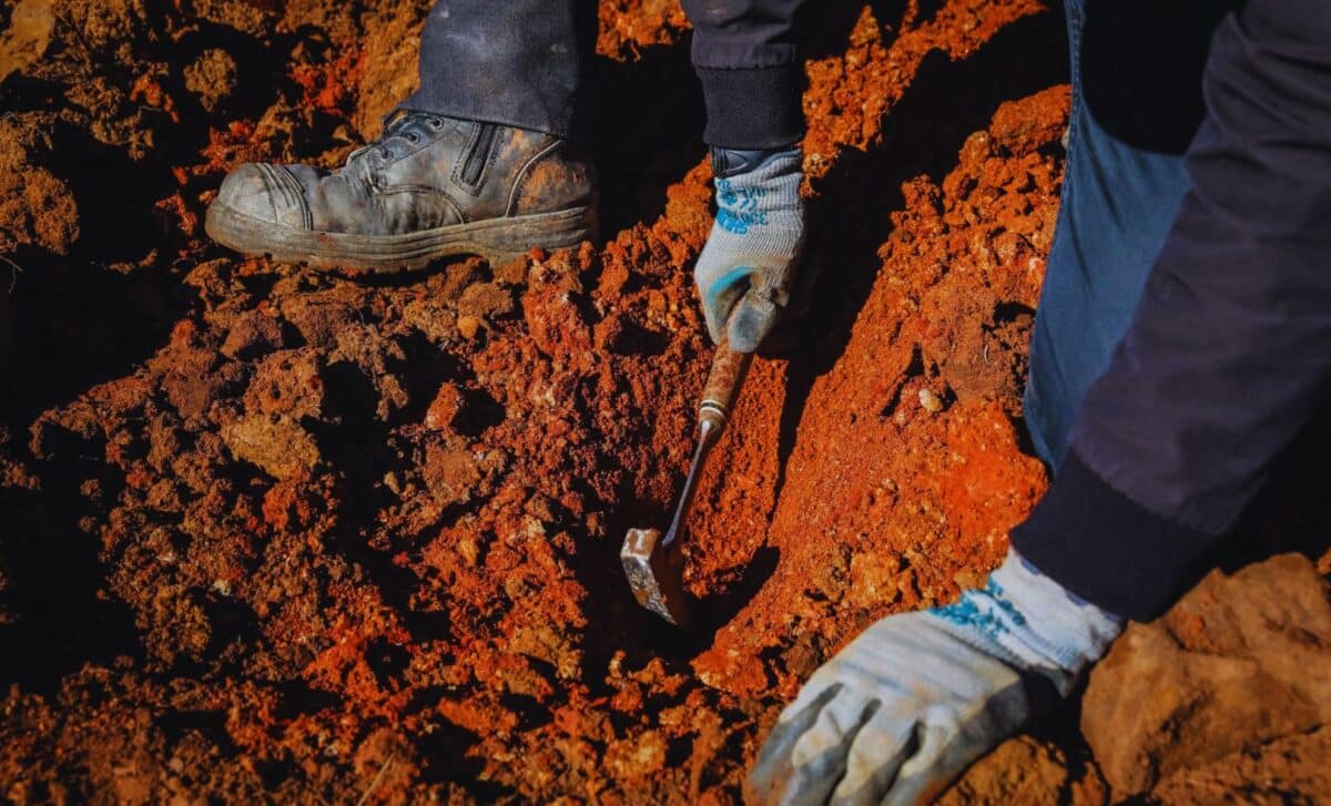 Scientists discover the best-preserved fossils ever found hidden in red ...