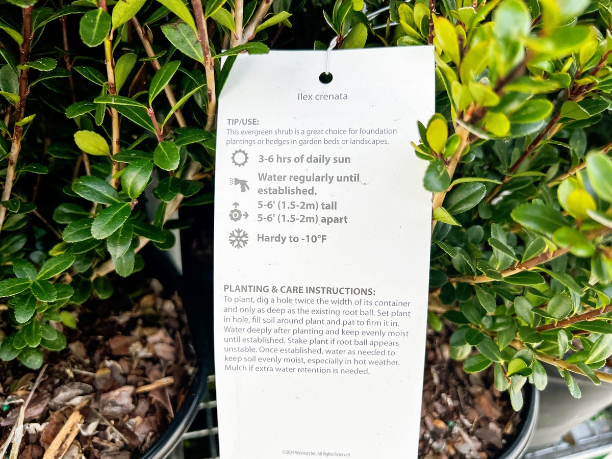 how-to-read-a-plant-tag2.jpg
