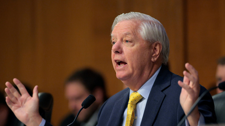 4 awkward Lindsey Graham on-air moments that had people asking the same ...