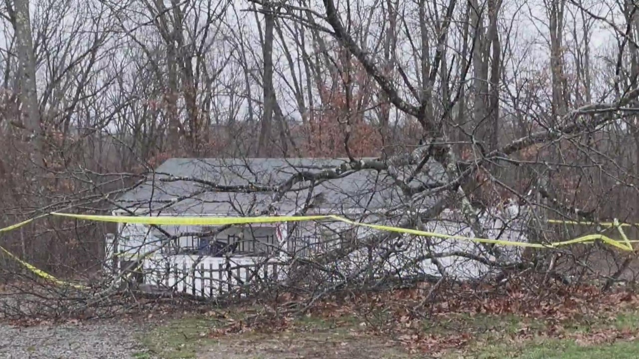 West Deer Township community steps up after tree falls onto baseball ...