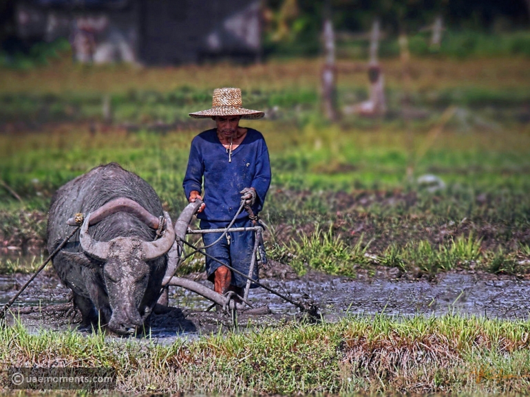 How the US-Israel-Iran war is hitting Filipino farmers and fishers