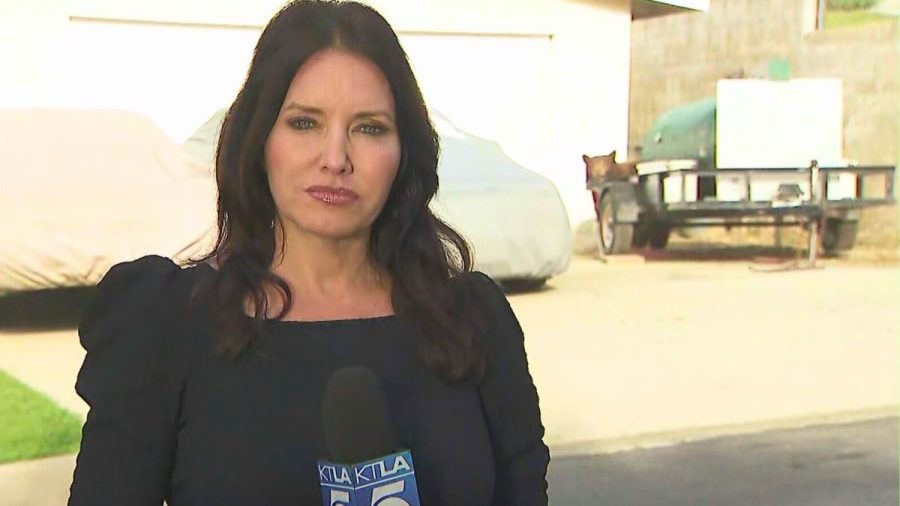 Watch: Bear wanders into California reporter’s live shot while she’s ...