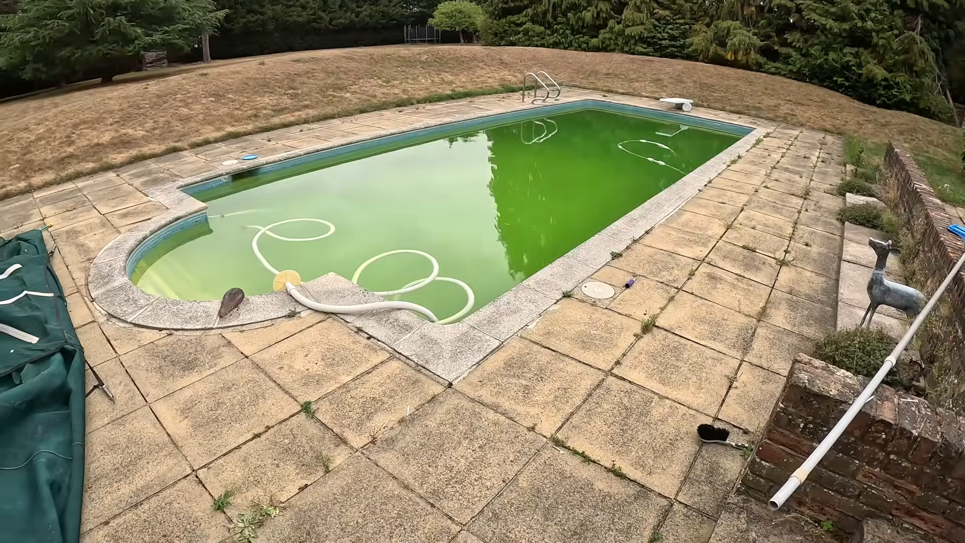 The pool turned dark green… then 24 hours changed everything