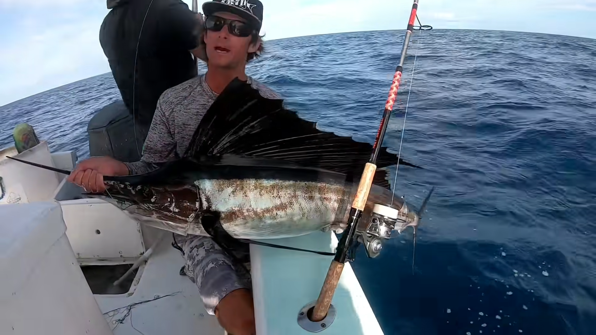 Swimming with the fastest fish in the world