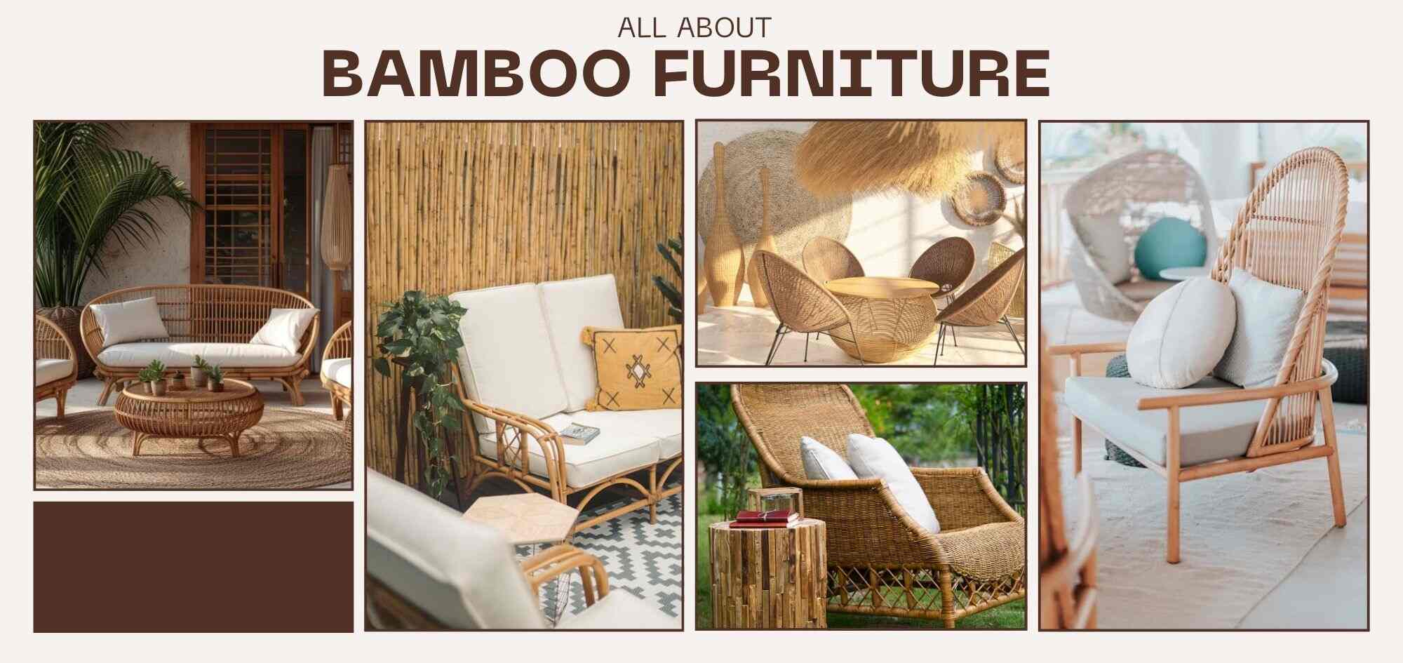 Everything to know about bamboo furniture and its benefits