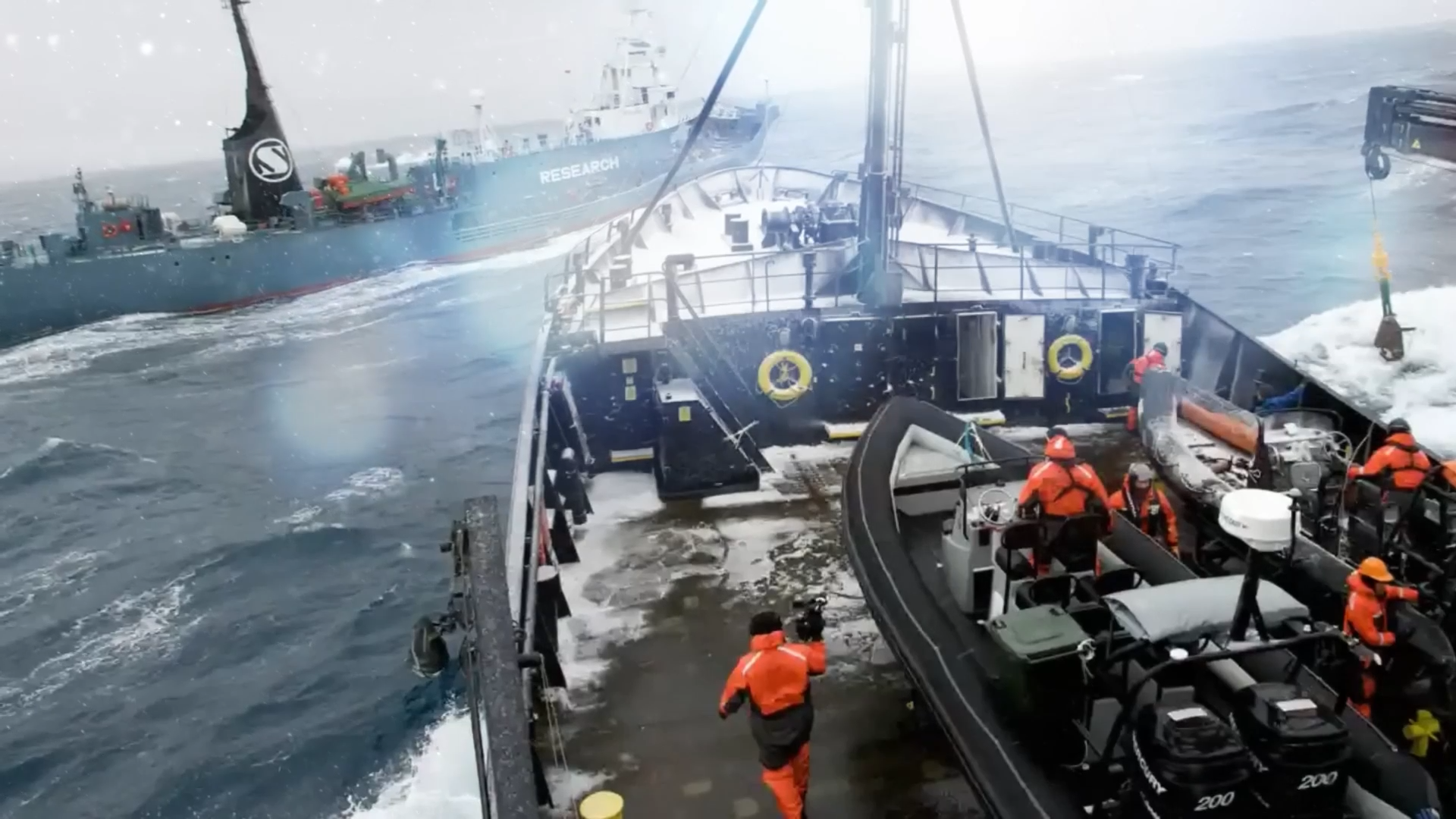 Caught on camera: Japanese whaling ship rams Sea Shepherd vessel