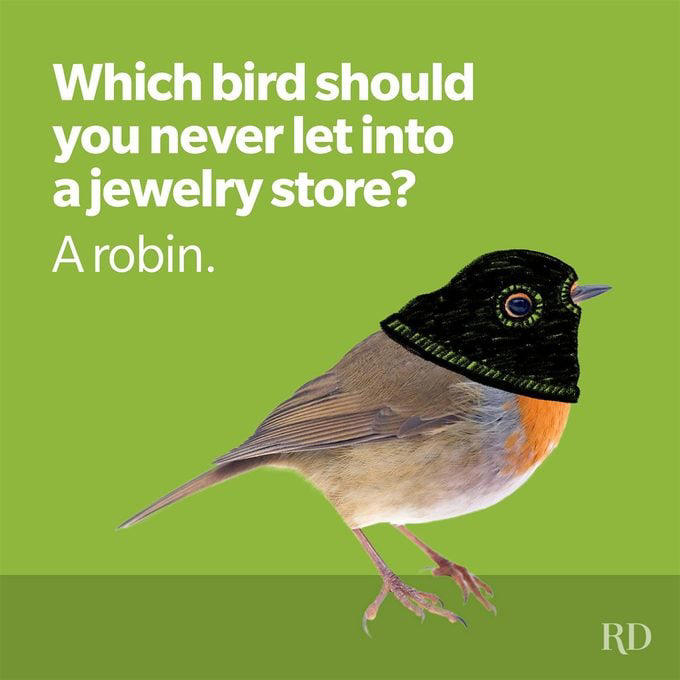 85 spring jokes that will get the laughs blooming