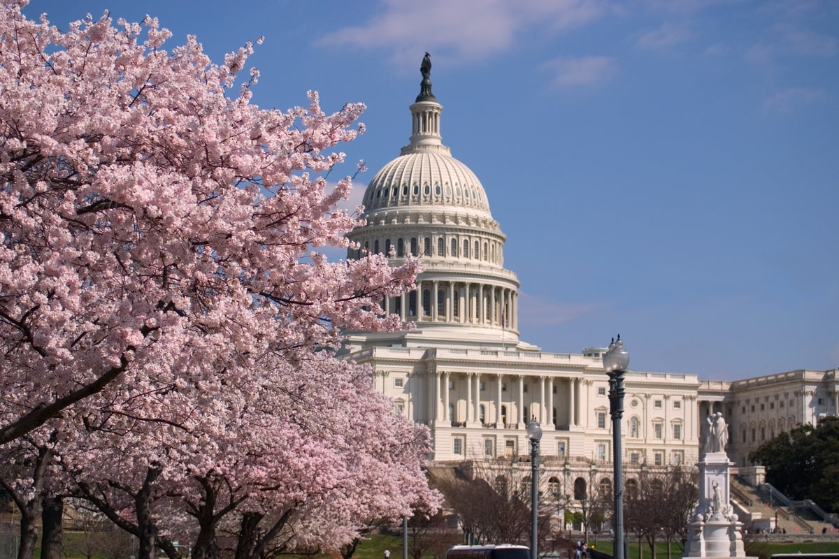 The spring equinox is finally here – but what does that mean?