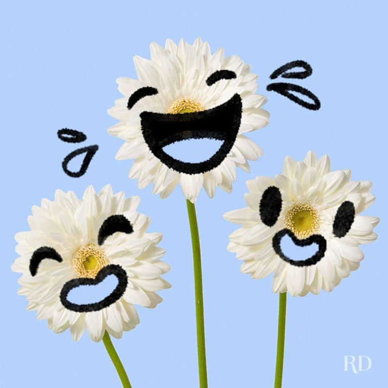 85 spring jokes that will get the laughs blooming