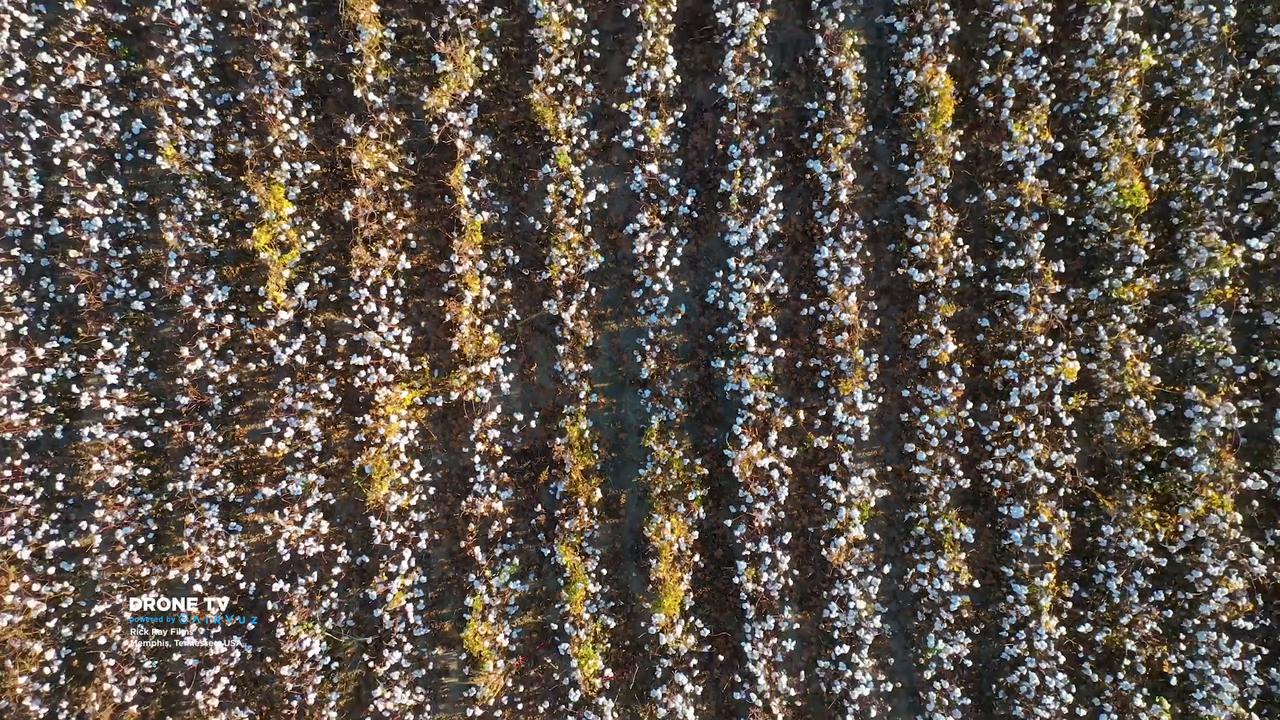 Aerial views of Southeast USA, part 2