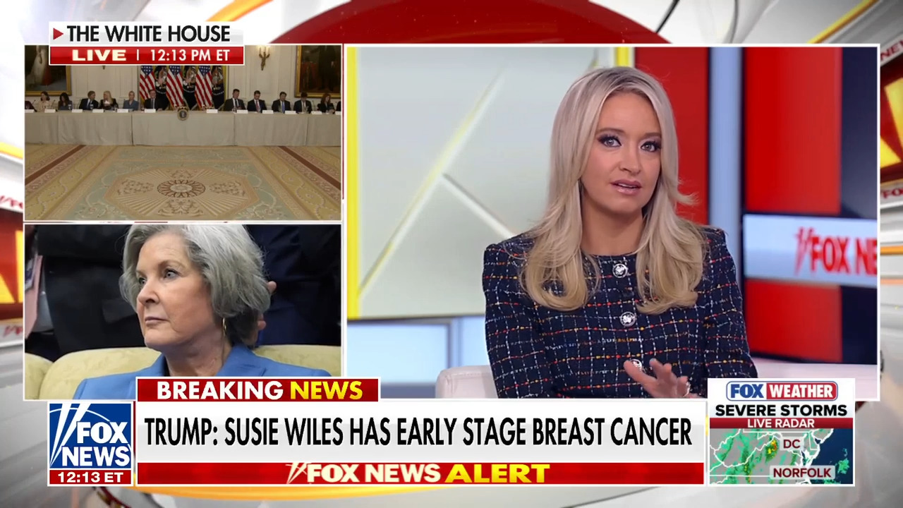 White House chief of staff Susie Wiles diagnosed with breast cancer<br><br>