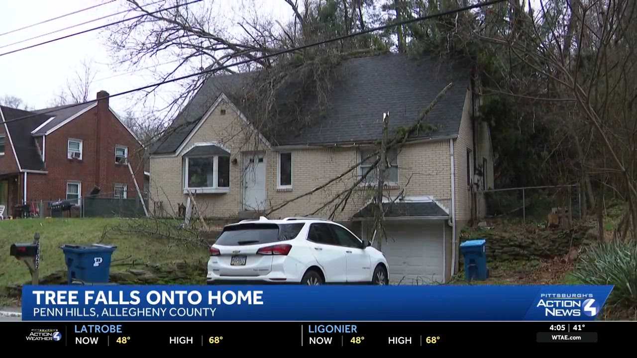 Tree falls on house in Penn Hills