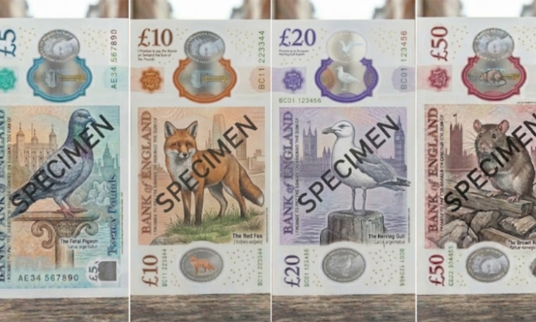 From pigeons to rats: The animals the RSPCA wants on UK banknotes