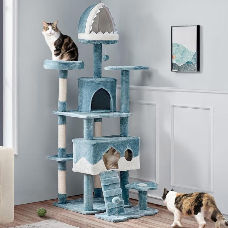 Chewy offers 30% off ocean-themed cat tree for your feline's playground