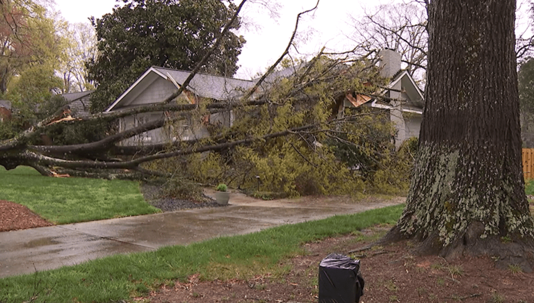 NC sees EF-0 tornado in Charlotte area, state leaders encourage caution ...