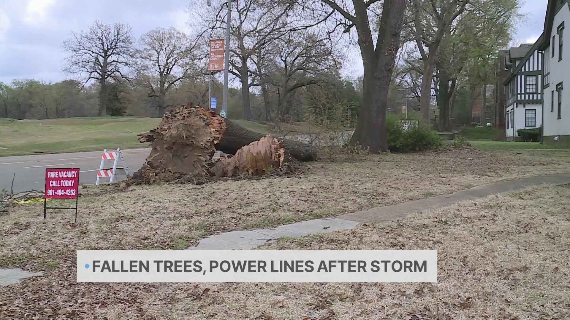 Mid-South residents deal with fallen trees, power outages after storm